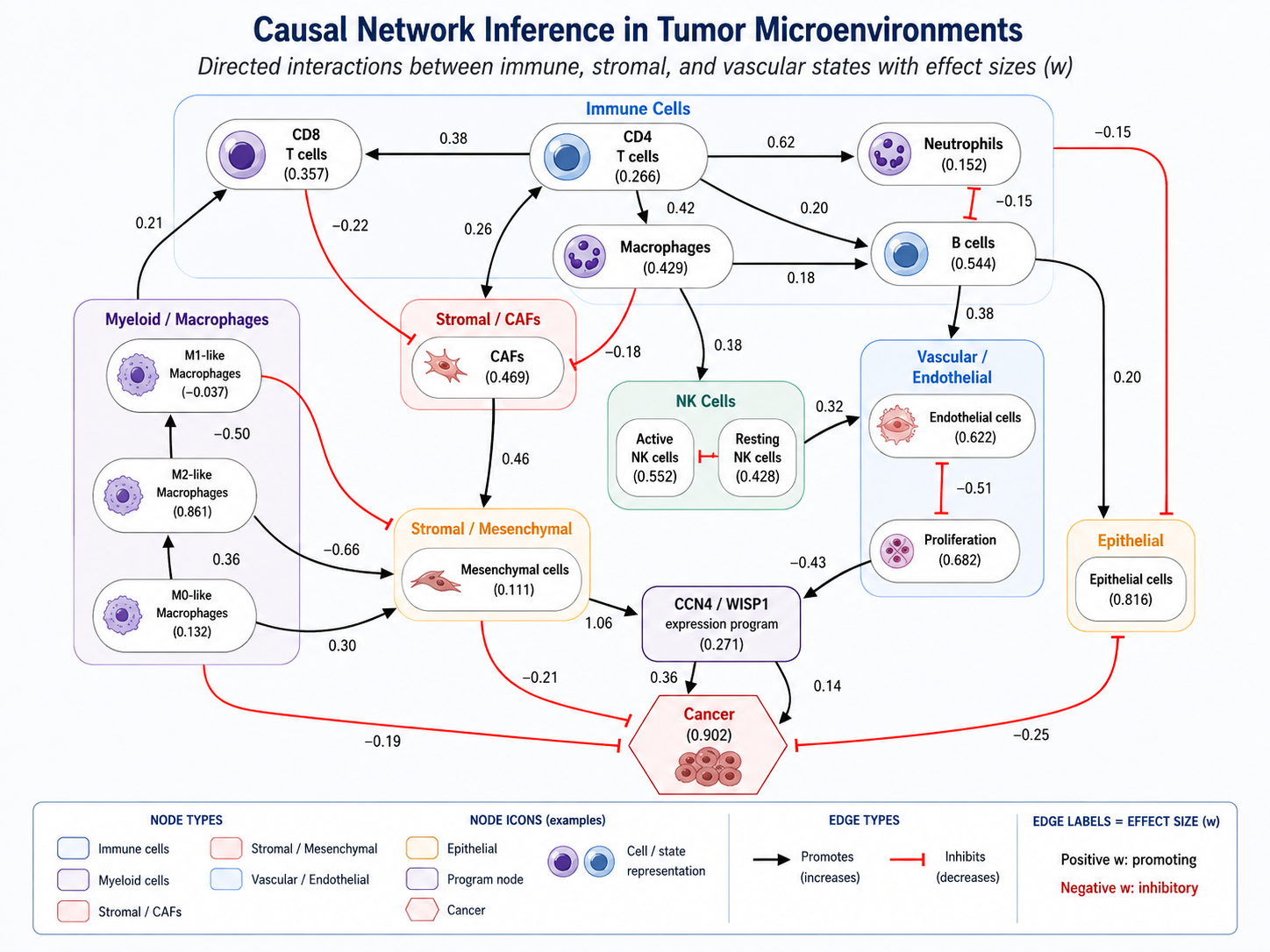 Inferred heterocellular network in invasive breast cancer from TCGA BRCA data